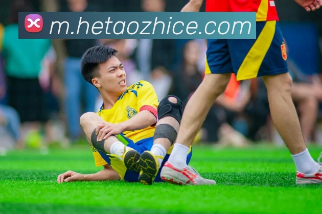 App Interface Preview