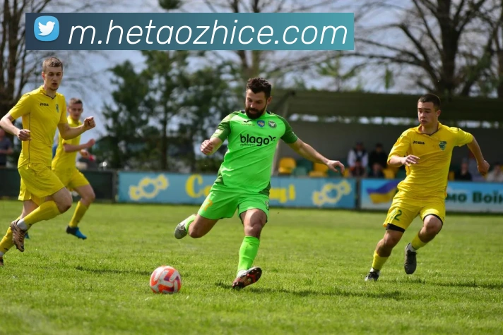 华体会体育APP 封面图